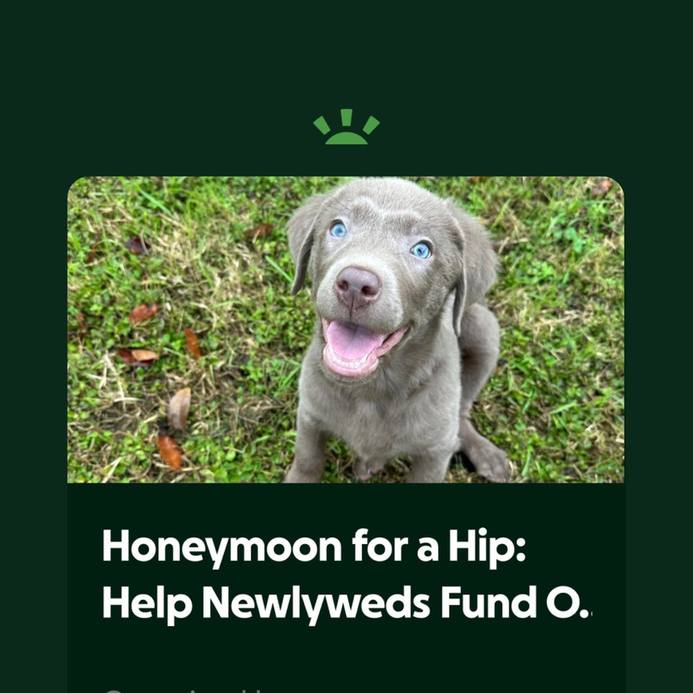 Ollie’s Hip Surgery